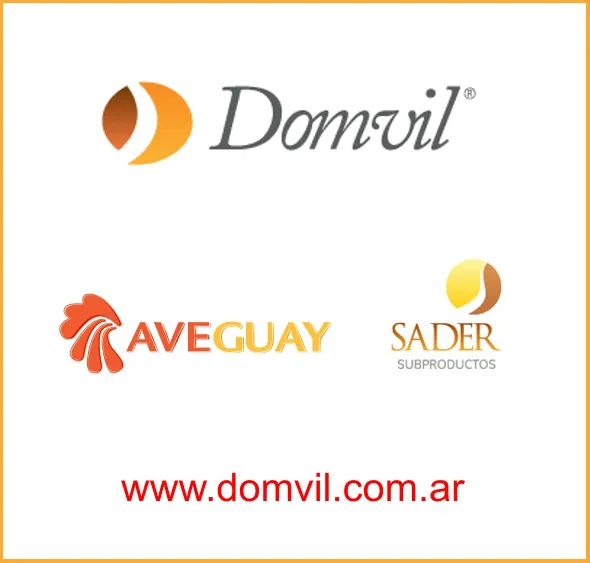 WhatsApp Image 2024-02-12 at 17.01.08